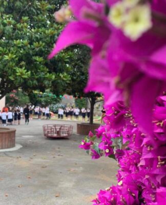 Scuola Paritaria Mery: un’ eccellenza educativa al servizio del territorio