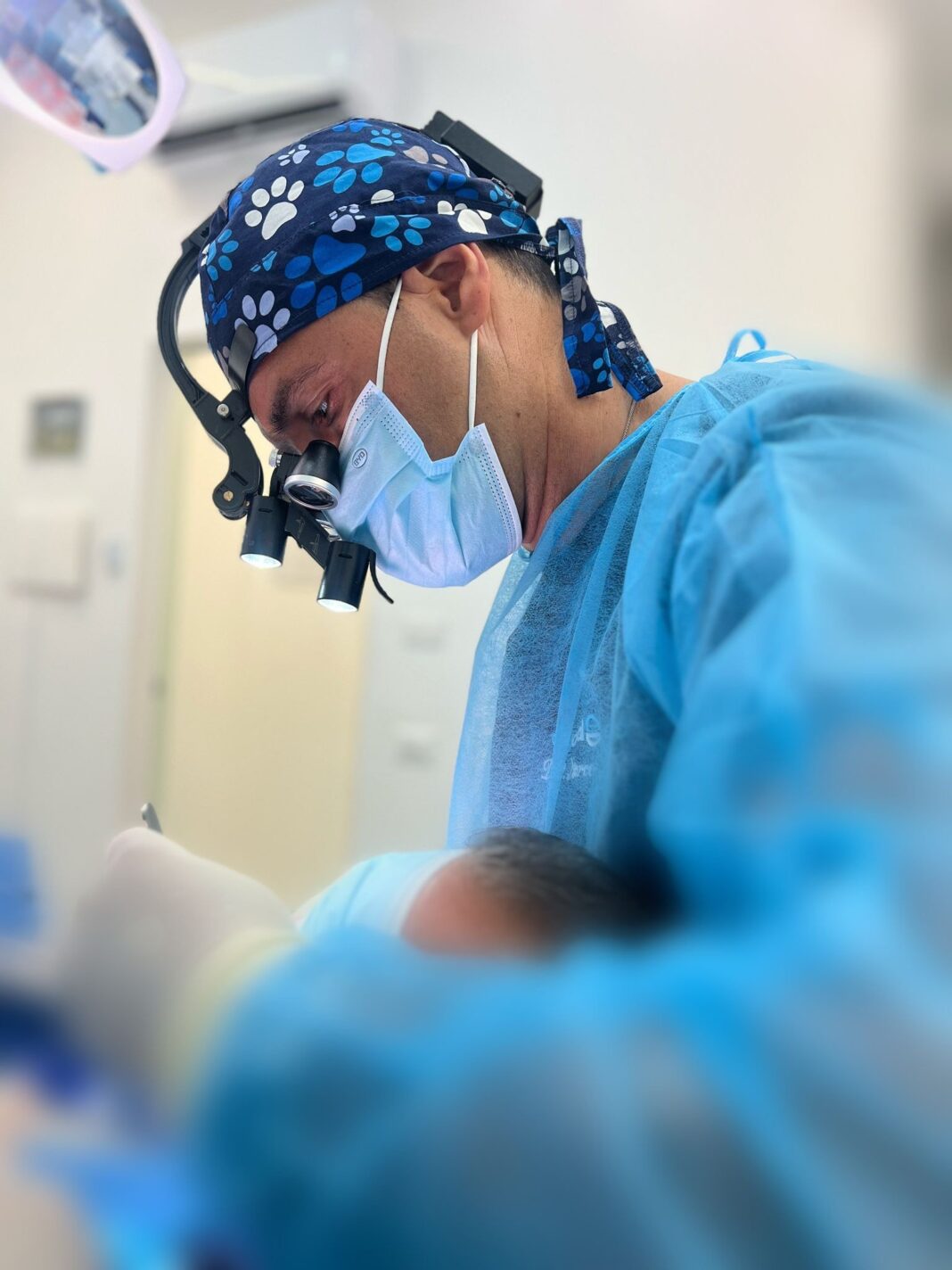 c83304ed-a2b7-4c7f-9c19-04eeee3ca726