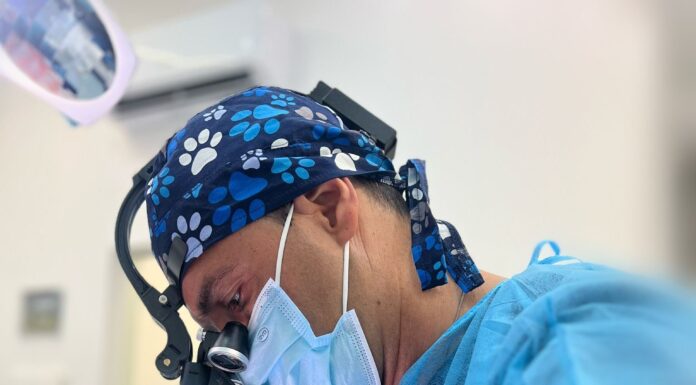 L’implantologia graftless cambia le regole: quando l’osso non c’è… non serve più ricostruirlo